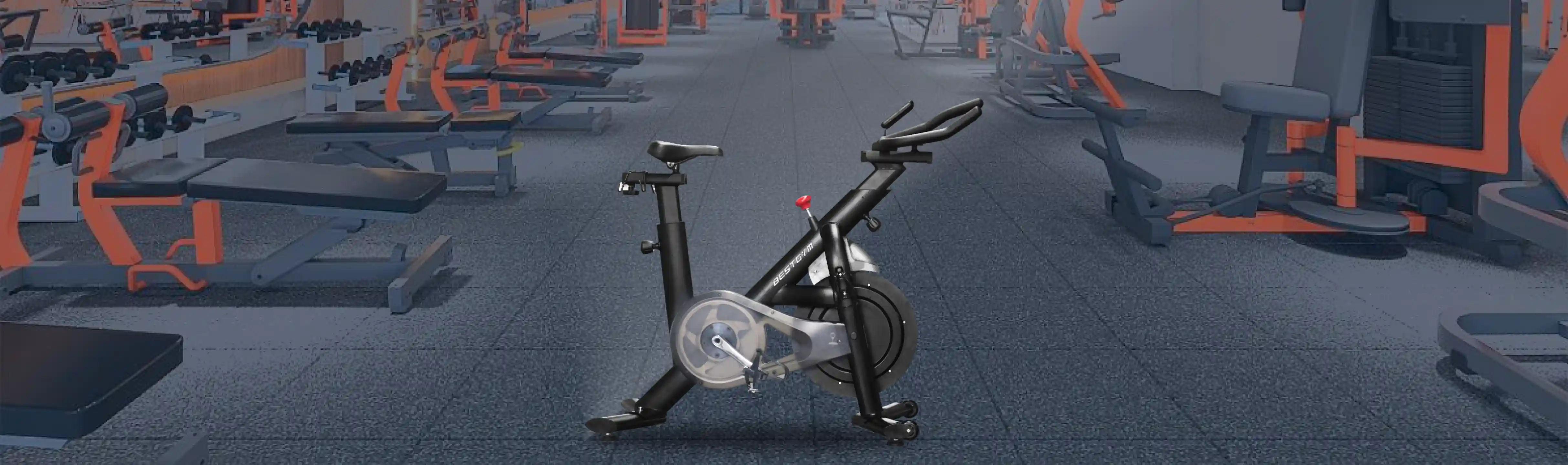 fitness manufacturer